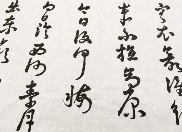 Grass Script